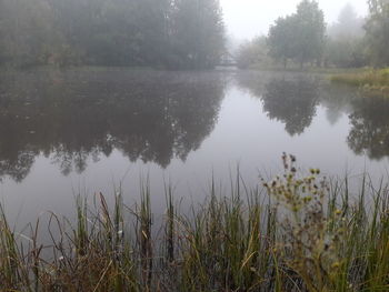 Scenic view of lake