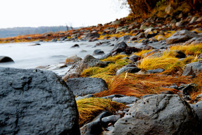 Close-up of rocks on beach against sky