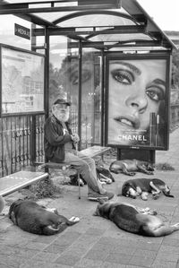 Portrait of woman lying down in city