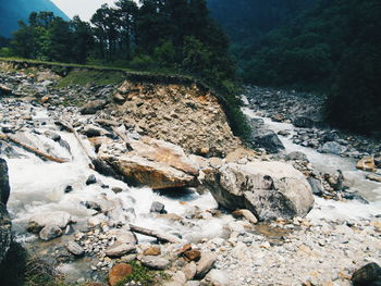 Stream flowing through rocks in forest