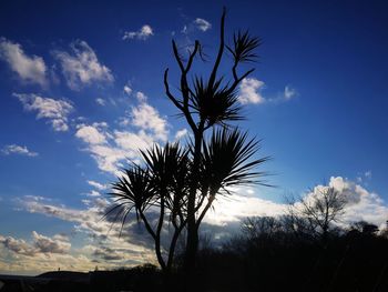 Low angle view of silhouette trees against sky during sunset