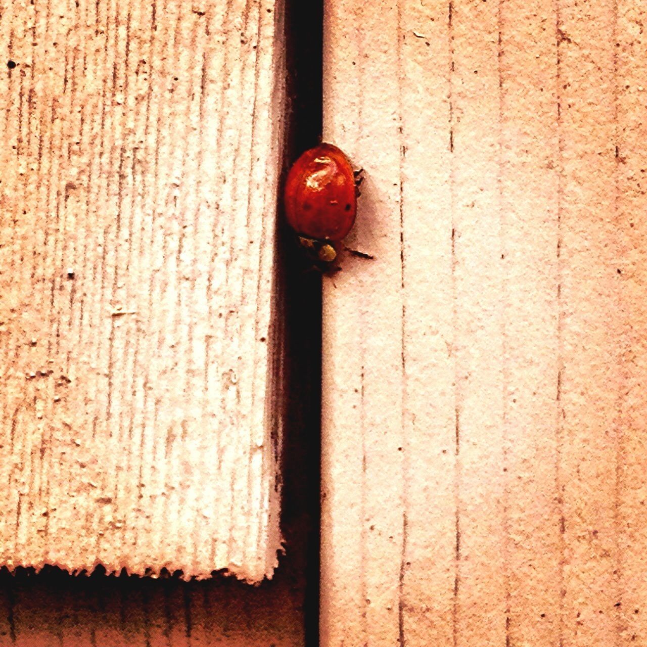 red, metal, close-up, wood - material, door, wall - building feature, built structure, protection, rusty, textured, old, safety, weathered, security, wooden, day, no people, outdoors, architecture, building exterior