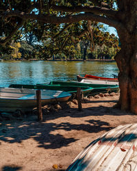 Bench by tree trunk by lake