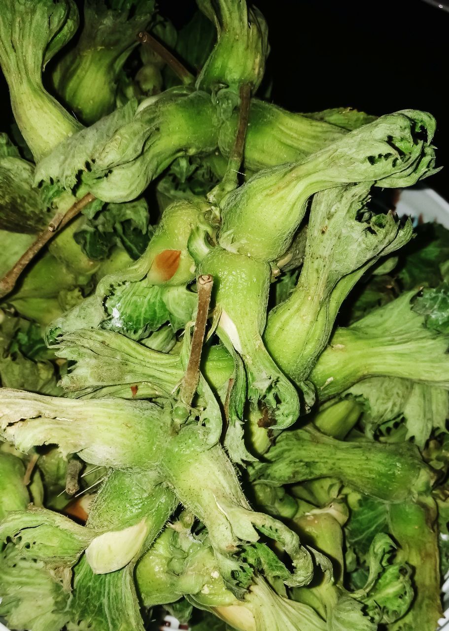 HIGH ANGLE VIEW OF VEGETABLES ON GREEN TABLE