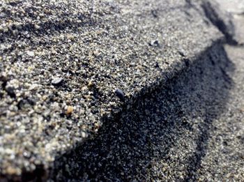 High angle view of crab on road