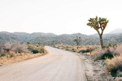 Dirt road amidst trees against clear sky