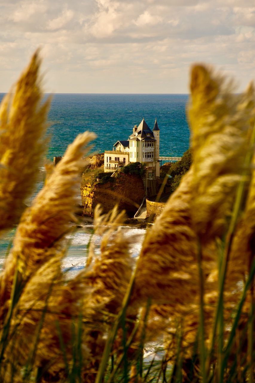 SCENIC VIEW OF SEA BY SHORE AGAINST SKY