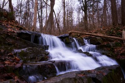 Scenic view of waterfall in forest