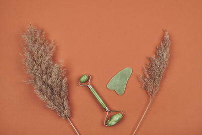 High angle view of decoration on table against wall