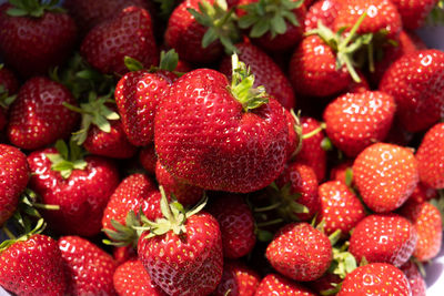 Full frame shot of strawberries