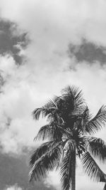 Low angle view of palm tree against sky