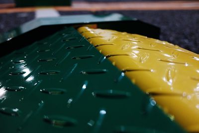 Close-up of yellow leaf