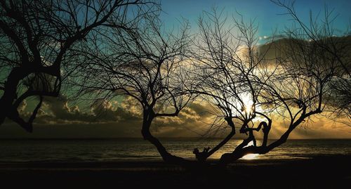 Silhouette bare tree by sea against sky during sunset