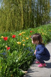 Little girl enjoying spring blossom