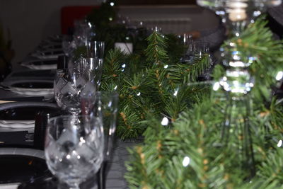 Close-up of illuminated christmas tree on table