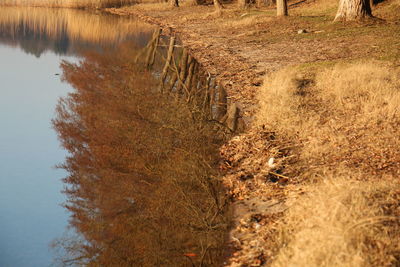 High angle view of lake