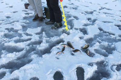 Low section of people standing on snow