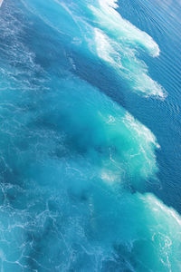 View of sea with trees in background