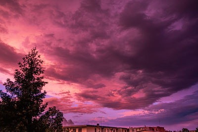 Low angle view of pink flowering tree against dramatic sky