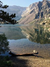 Reflection of trees in calm lake