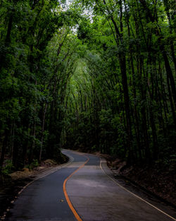 Empty road along trees in forest