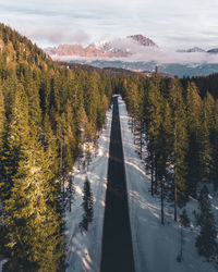 High angle view of road amidst trees against sky