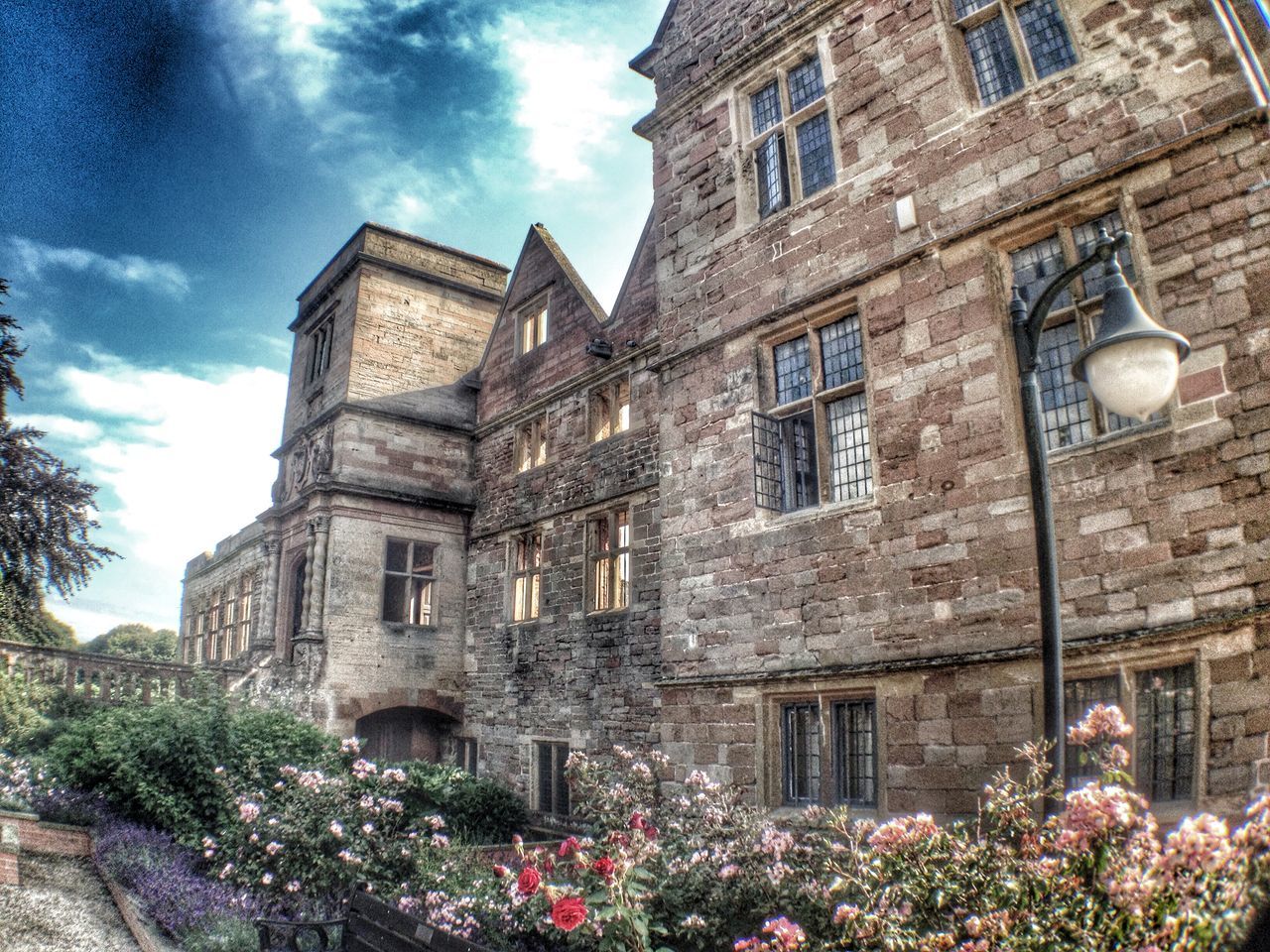 building exterior, architecture, built structure, flower, sky, low angle view, plant, building, window, cloud - sky, growth, street light, residential structure, residential building, house, cloud, day, city, outdoors, no people