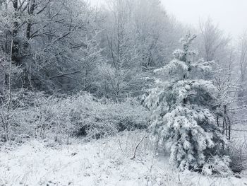 Scenic view of snow covered field