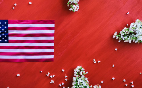 High angle view of red and white flowers on table