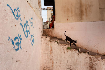 Graffiti on wall