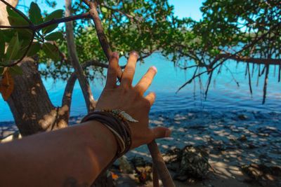 Close-up of hand against trees at beach