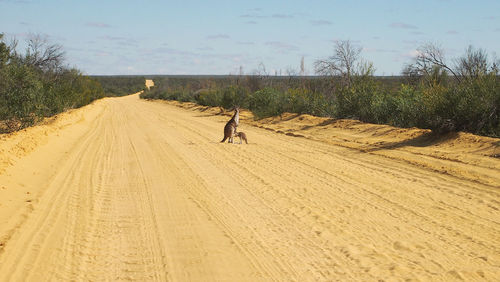 Rear view of people walking on sand against sky