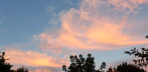 Low angle view of silhouette trees against sky during sunset