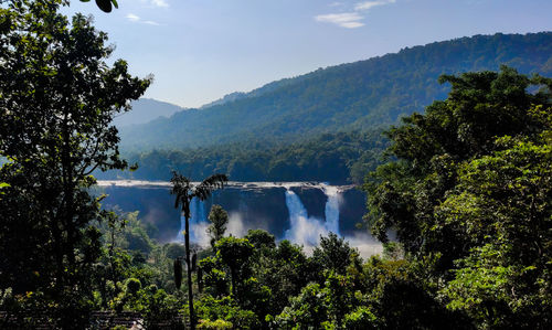 Scenic view of forest against sky