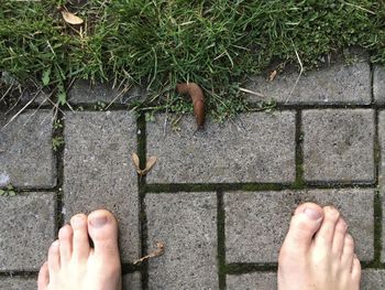 Cropped hands of man holding plant