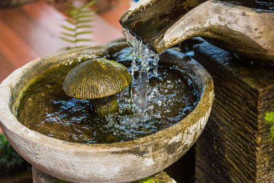 Close-up of water drops on fountain