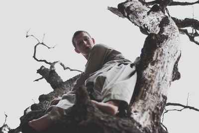 Low angle of young man climbing on tree