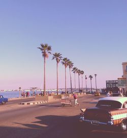 Palm trees on beach in city against clear sky