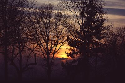 Silhouette bare trees against sky during sunset