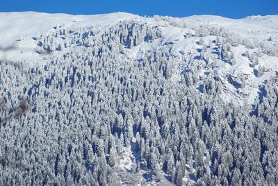 Scenic view of snowcapped mountains