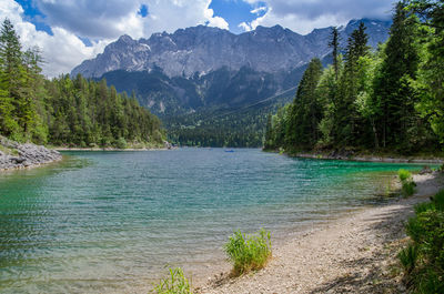 Scenic view of lake by trees against sky