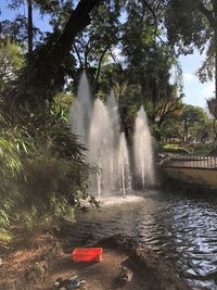 Scenic view of waterfall in forest