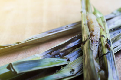 Close-up of food on table