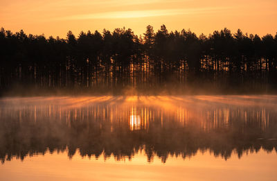 Silhouette trees by lake against sky during sunset