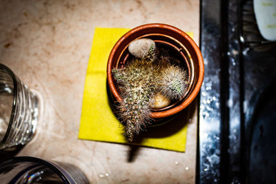 High angle view of yellow flower on table