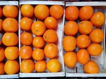 Close-up high angle view of oranges