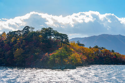 Trees by mountains against sky during autumn