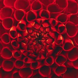 Full frame shot of red background