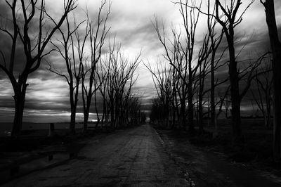 Footpath amidst bare trees against sky