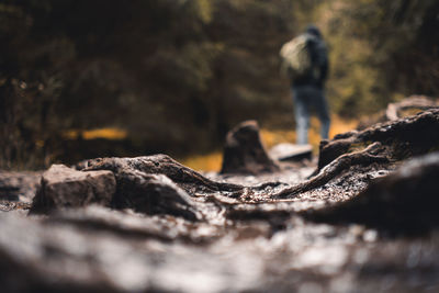 Surface level of rocks with man in background